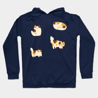 Four Calico Cats Hoodie